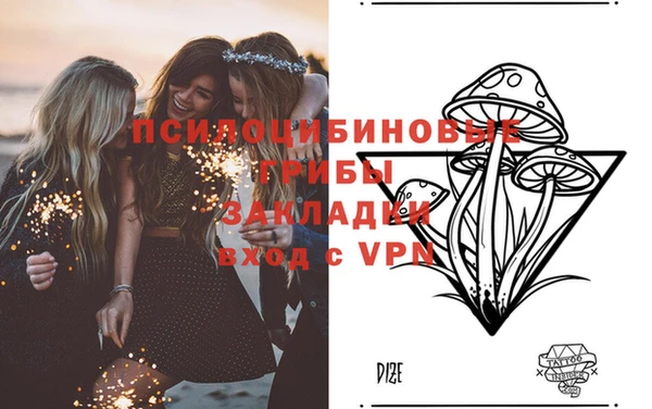 соль курить ск Дмитриев