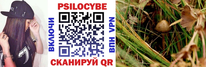 Псилоцибиновые грибы ЛСД  Купить закладки  Мамоново 
